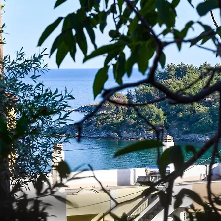 Bayleaf Kavala