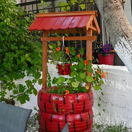 Bayleaf